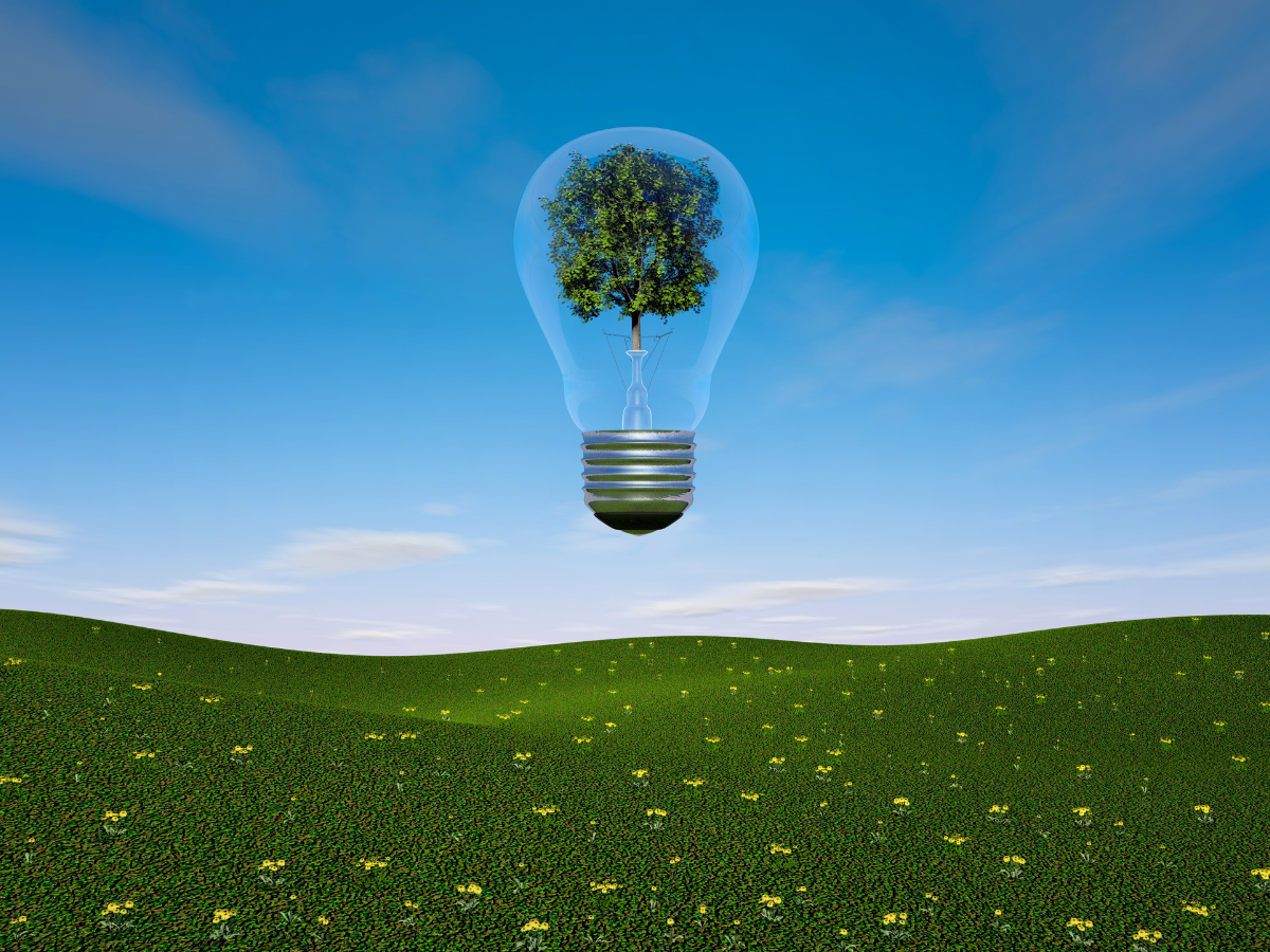 Een futuristisch beeld van een gloeilamp die zweeft boven een groen landschap, met een boom binnenin. Dit beeld symboliseert duurzame energie en innovatieve oplossingen voor een milieuvriendelijke toekomst. De heldere lucht en natuurlijke omgeving benadrukken het belang van groene technologieën en ecologische verantwoordelijkheid. Perfect voor concepten zoals duurzame verlichting, energie-efficiënte technologieën en innovatieve milieuvriendelijke initiatieven.